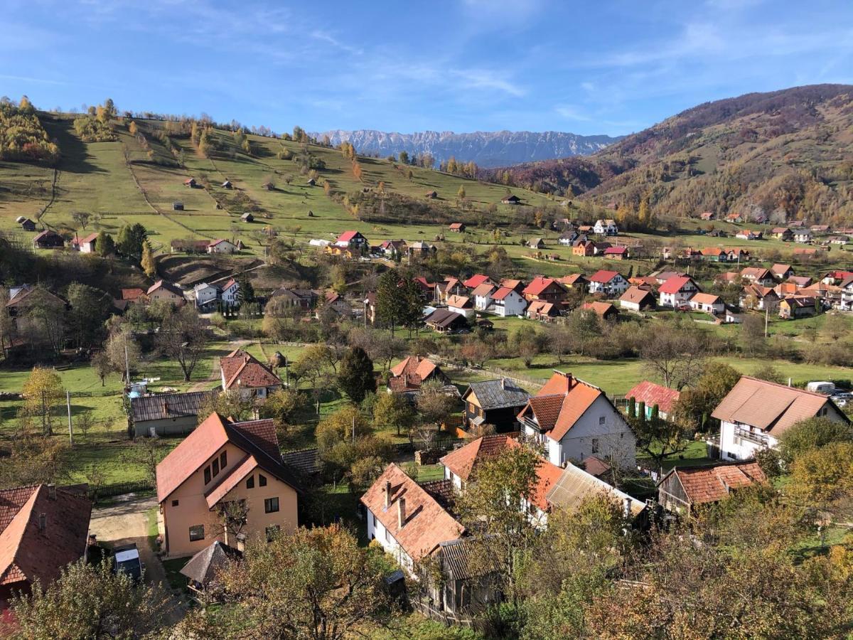 On Top Chalet Bran  Zewnętrze zdjęcie